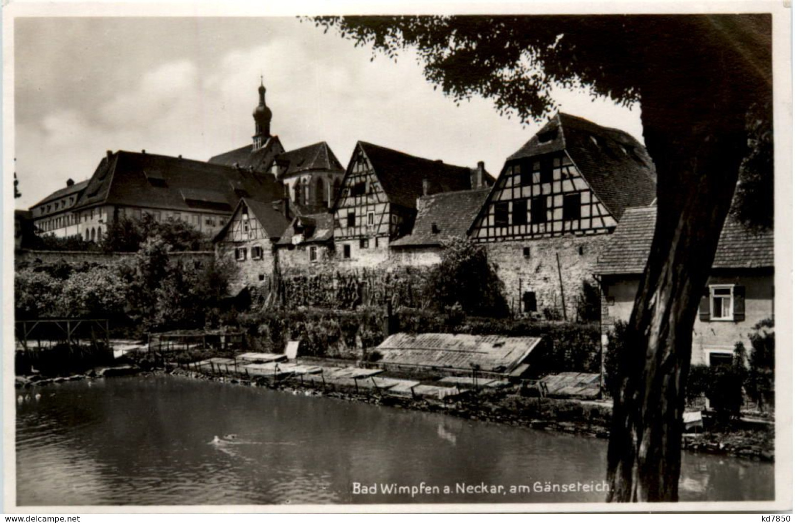 Bad Wimpfen Am Neckar - Am Gänseteich - Bad Wimpfen