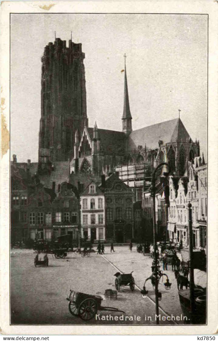 Kathedrale In Mecheln - Mechelen