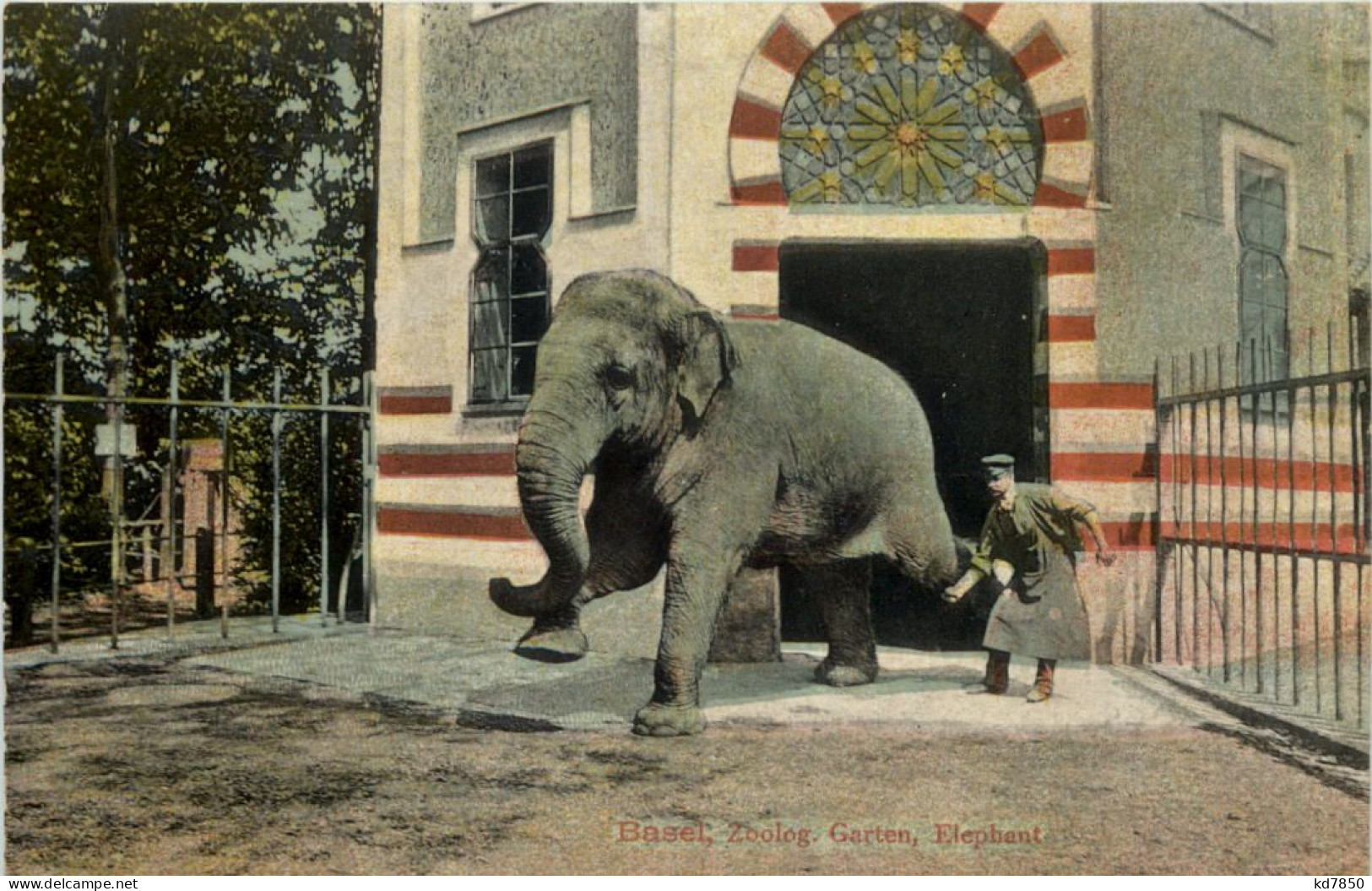 Basel - Zoologischer Garten - Elephant - Sonstige & Ohne Zuordnung