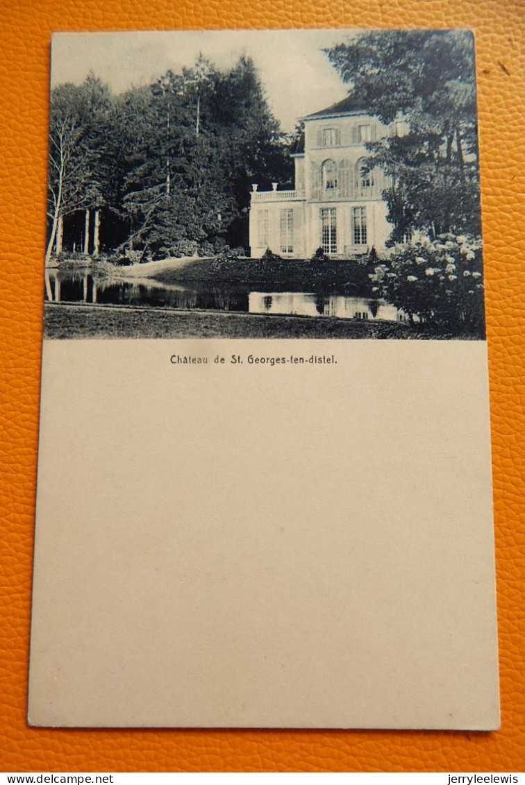 SINT-JORIS-ten-DISTEL  - Het Kasteel  - St GEORGES-ten-DISTEL  - LE Château - Beernem