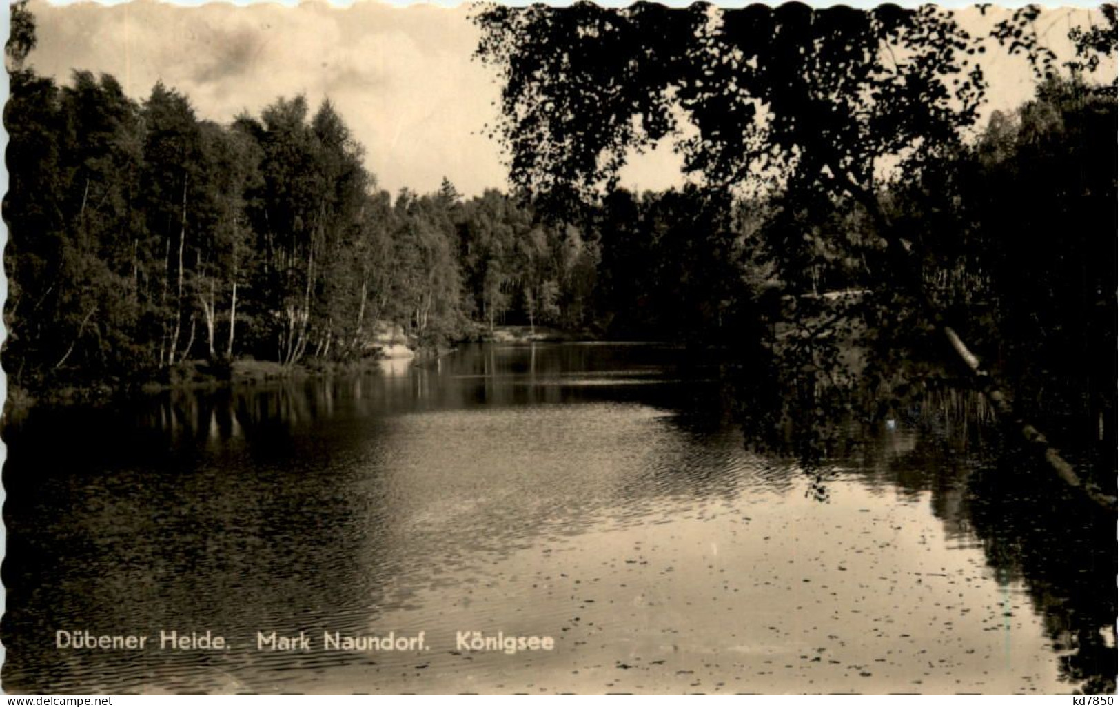 Dübener Heide, Mark Naundorf, Königsee - Wittenberg