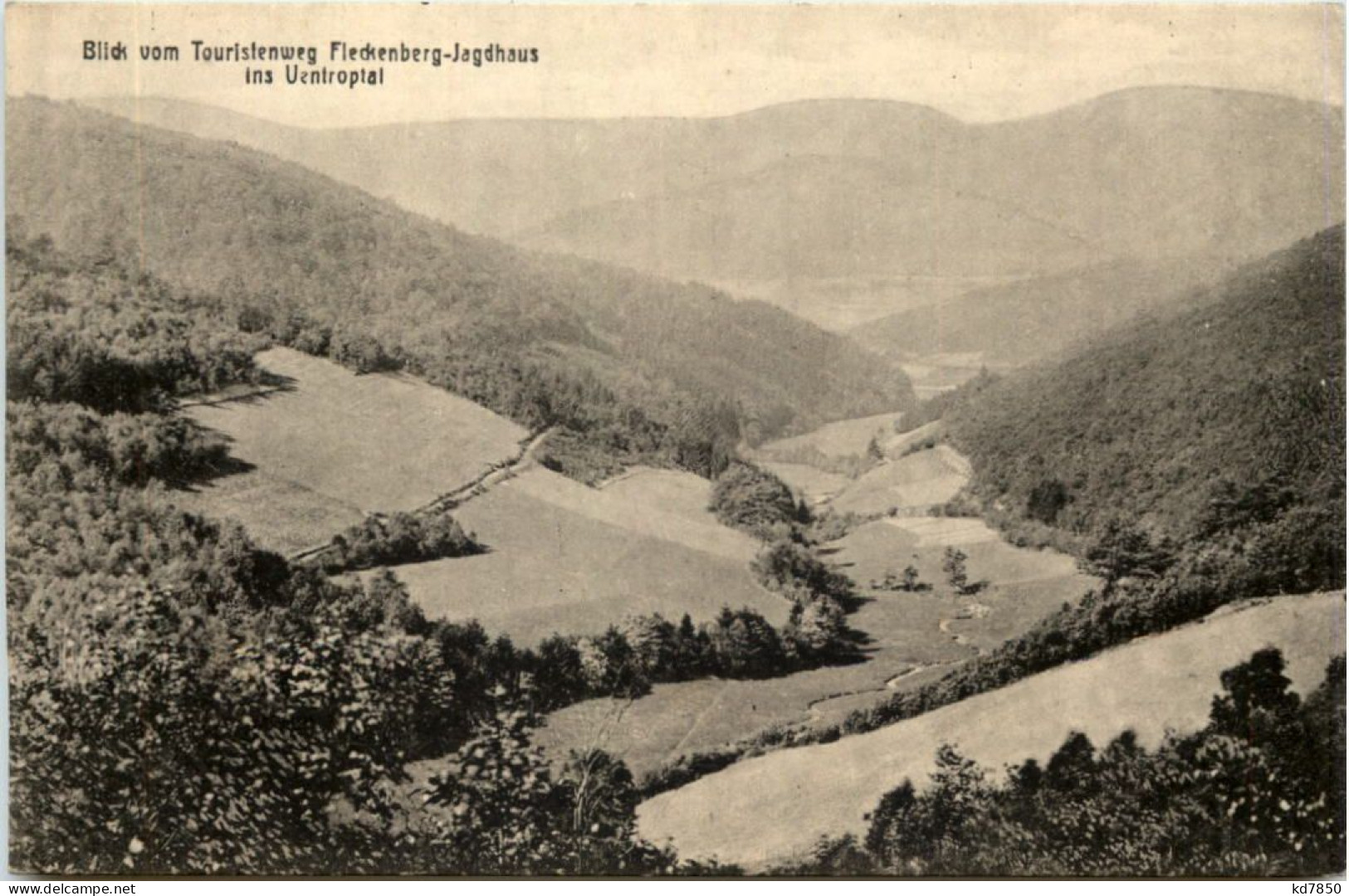 Blick Vom Touristenweg Fleckenberg-Jagdhaus Ins Uentroptal - Schmallenberg