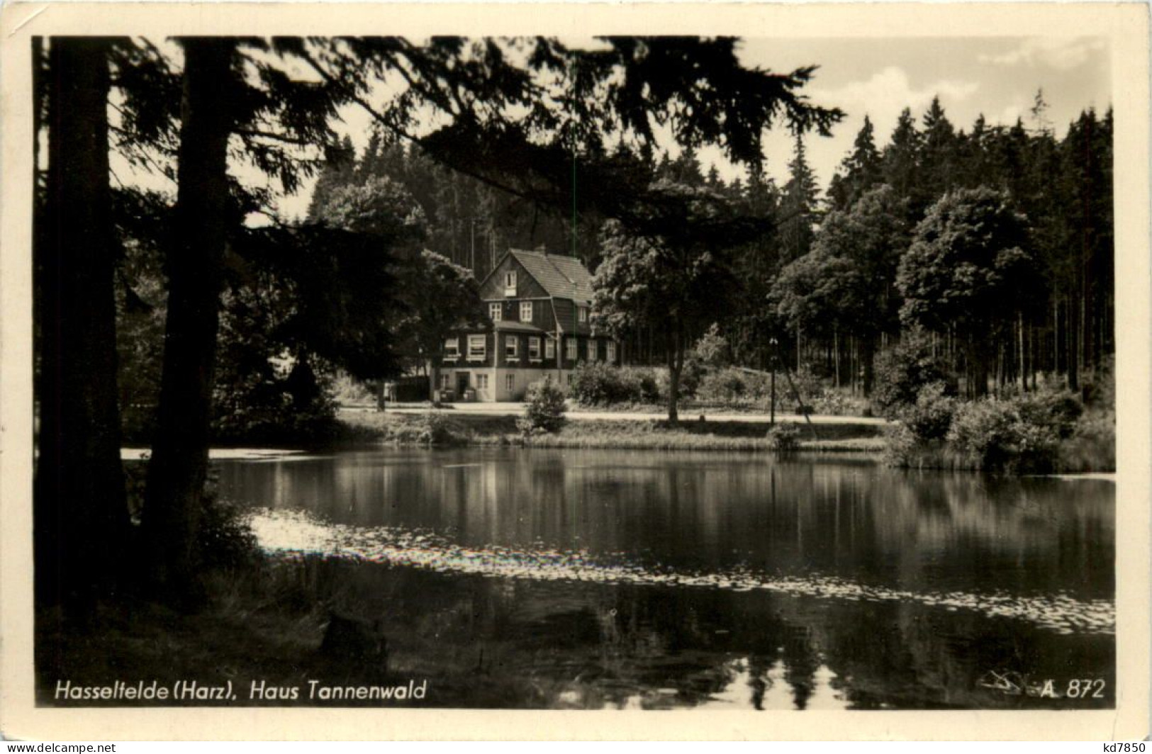 Hasselfelde Harz, Haus Tannenwald - Autres & Non Classés