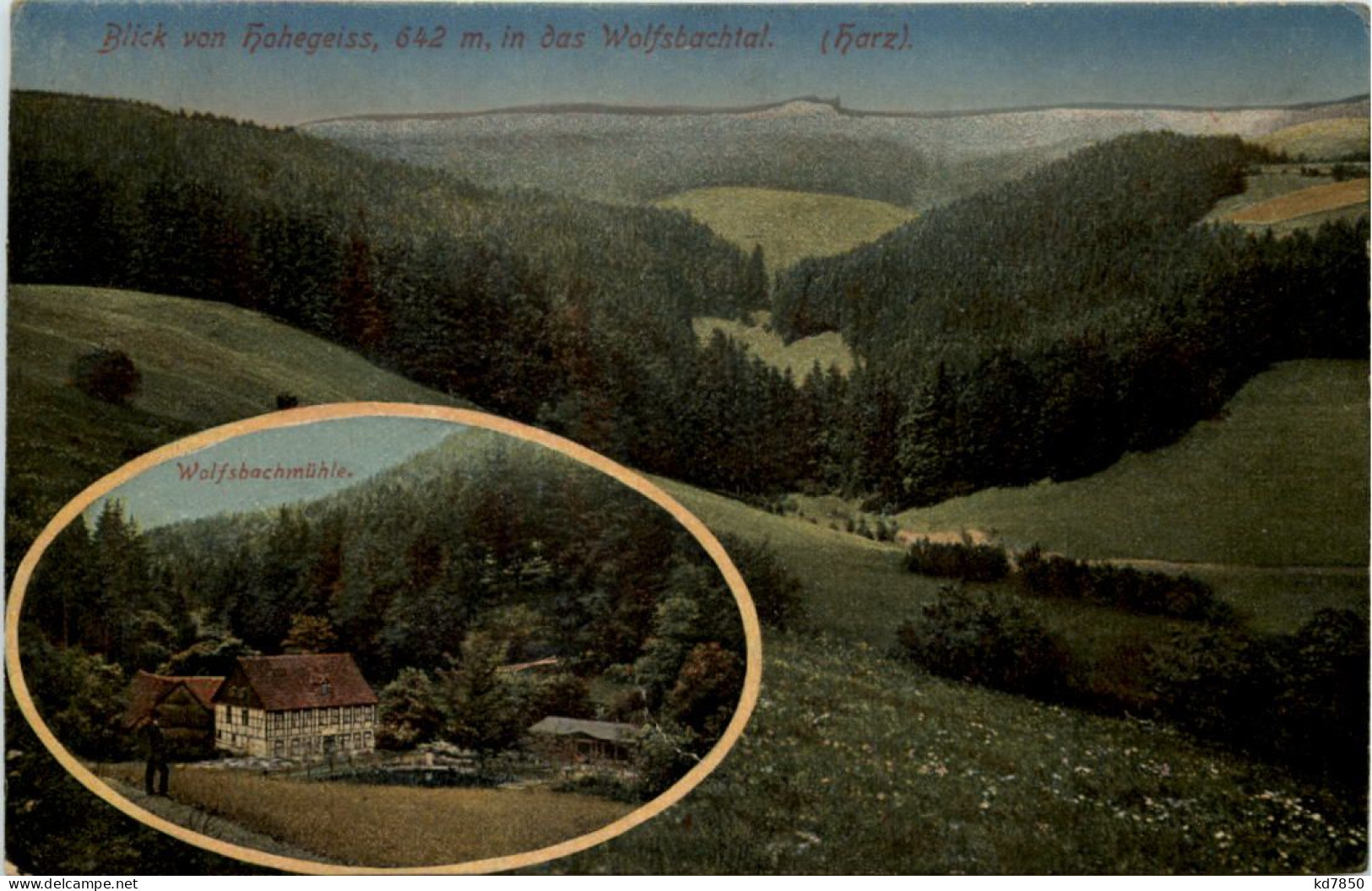 Blick Von Hohegeiss In Das Wolfsbachtal - Braunlage