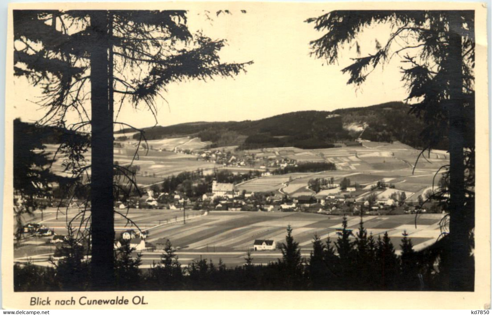 Blick Nach Cunewalde OL - Cunewalde