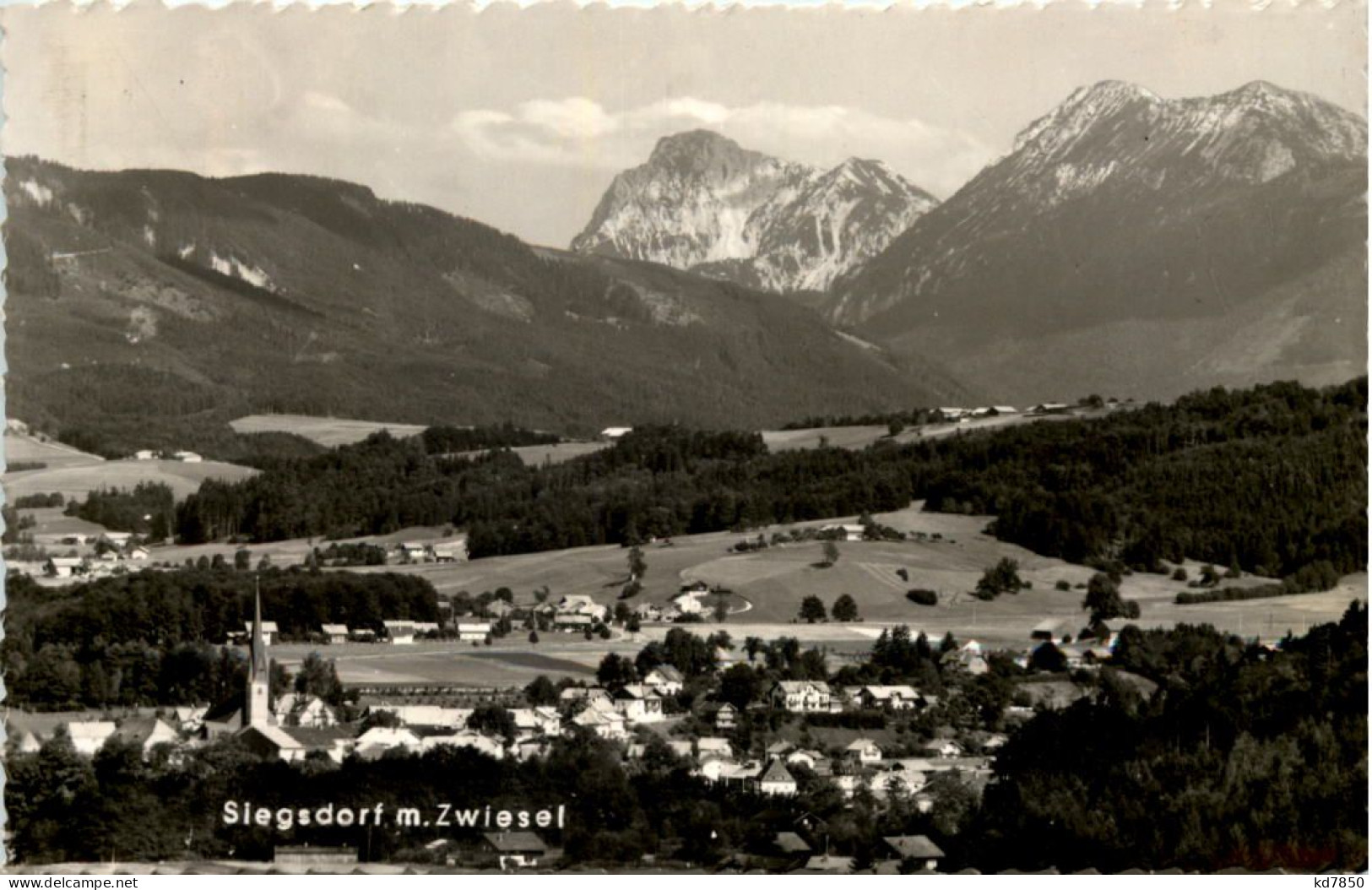 Siegsdorf M. Zwiesel - Traunstein