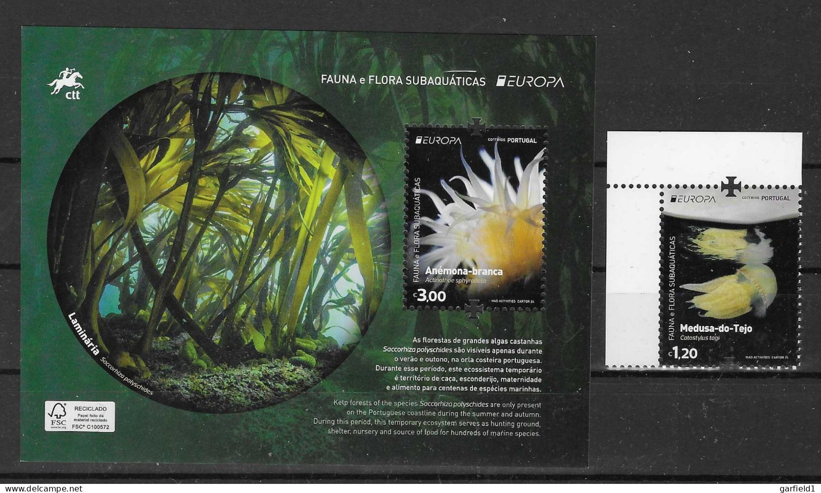 Portugal 2024 , Europa Cept Unterwasserwelt Fauna Und Flora  - Postfrisch / MNH / (**) - Unused Stamps