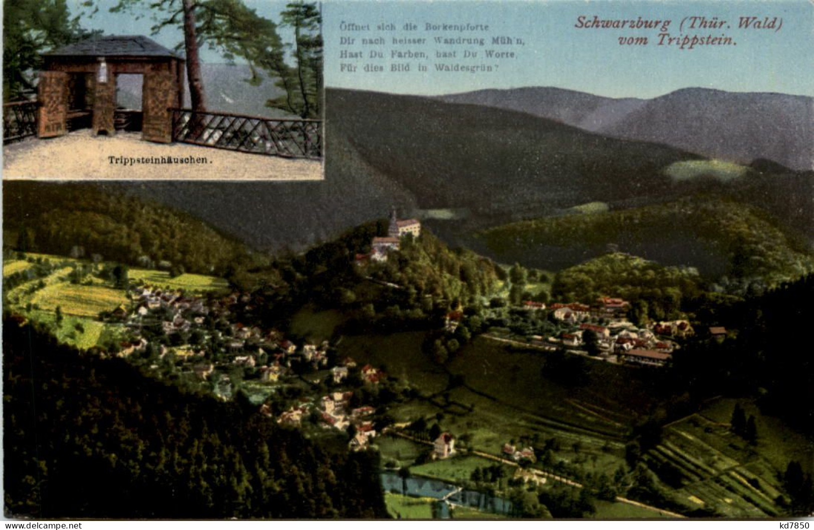 Schwarzburg I. Thür., Vom Trippstein - Saalfeld