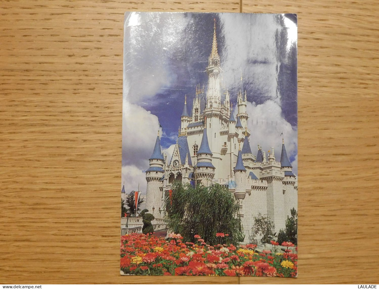 AFR  -  ETATS UNIS   Floride  Cinderella Castle - Andere & Zonder Classificatie