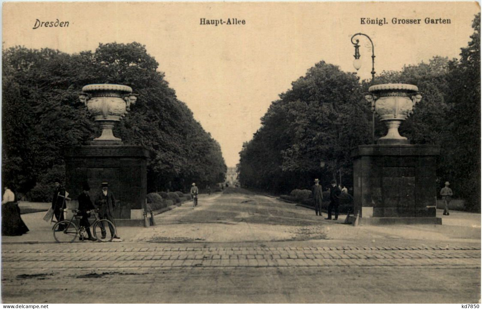 Dresden, Haupt-Allee, Kgl. Grosser Garten - Dresden