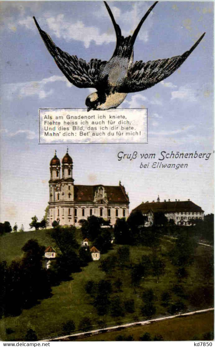 Gruss Vom Schönenberg Bei Ellwangen - Ellwangen