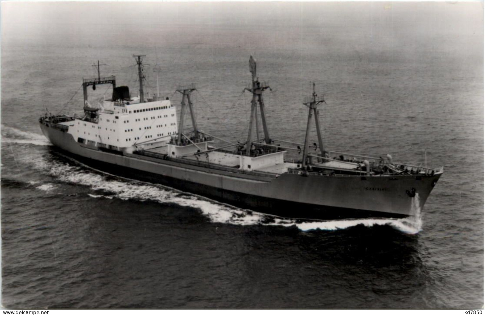 MS Caribia - Piroscafi