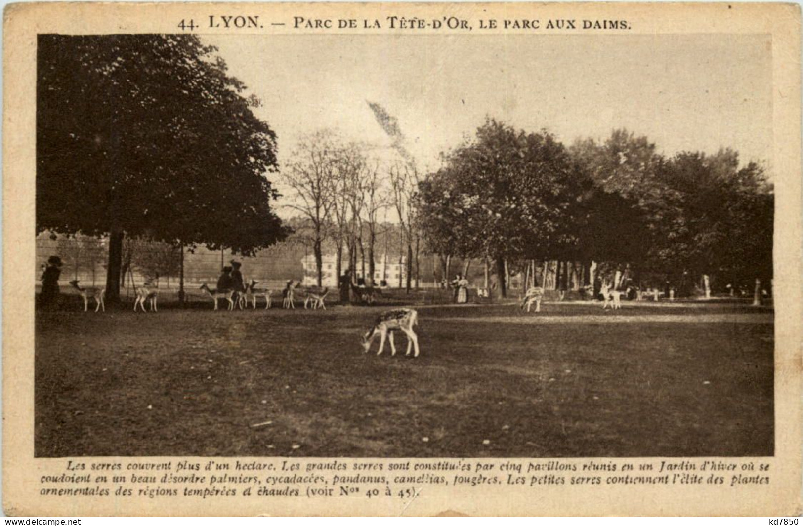 Lyon - Parc De La Tete D Or - Sonstige & Ohne Zuordnung