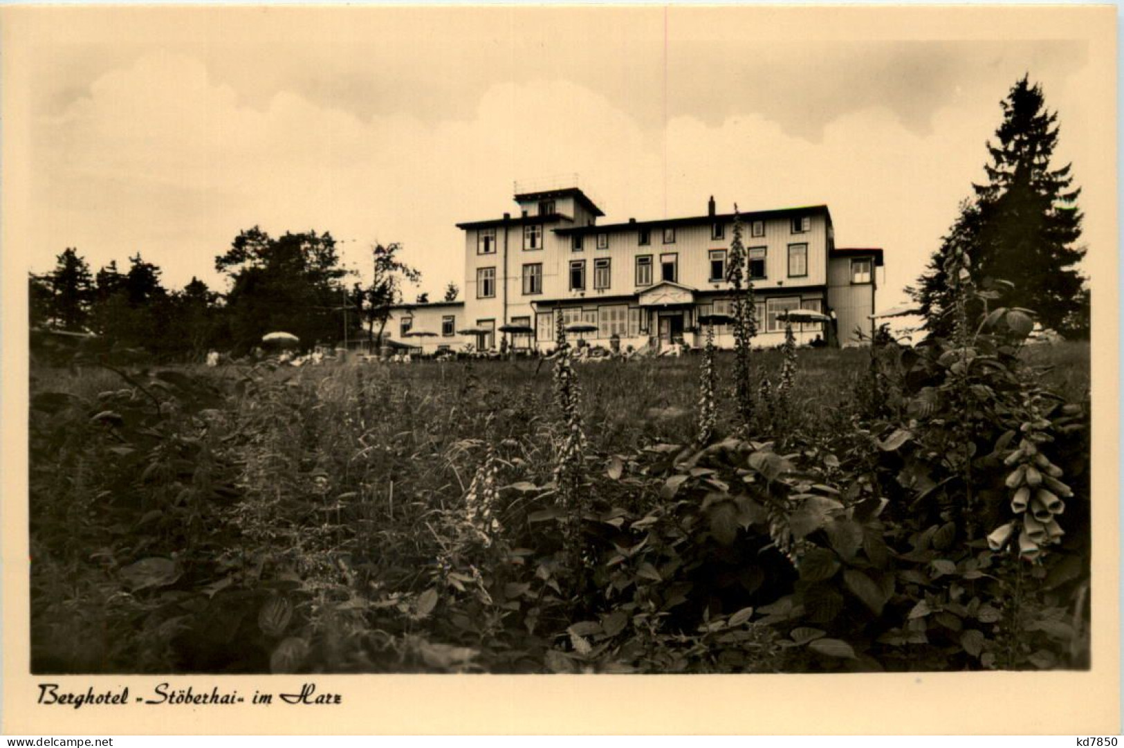 Wieda Südharz, Berghotel Stöberhai - Goettingen