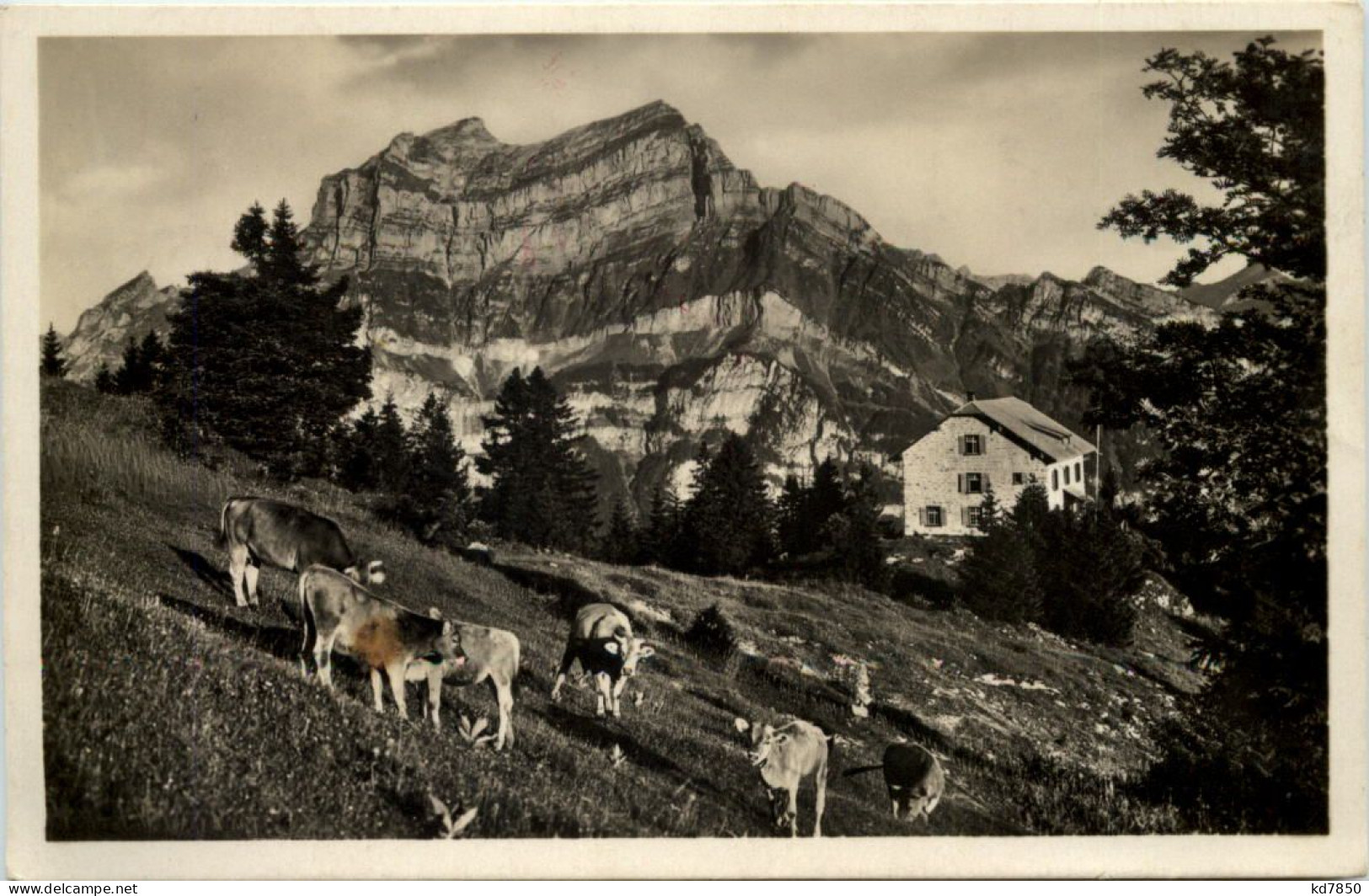 Zürcher Naturfreundehaus Fronalp Mit Wiggis Und Rauti - Autres & Non Classés