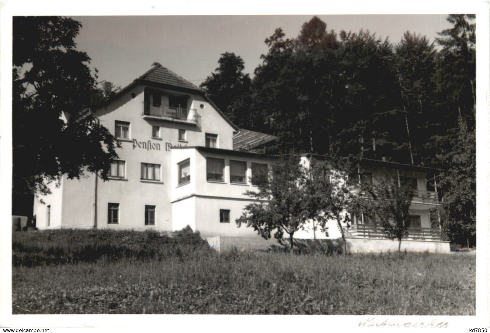 Weiten-Gesäss - Pension Waldfriede - Michelstadt Im Odenwald - Michelstadt