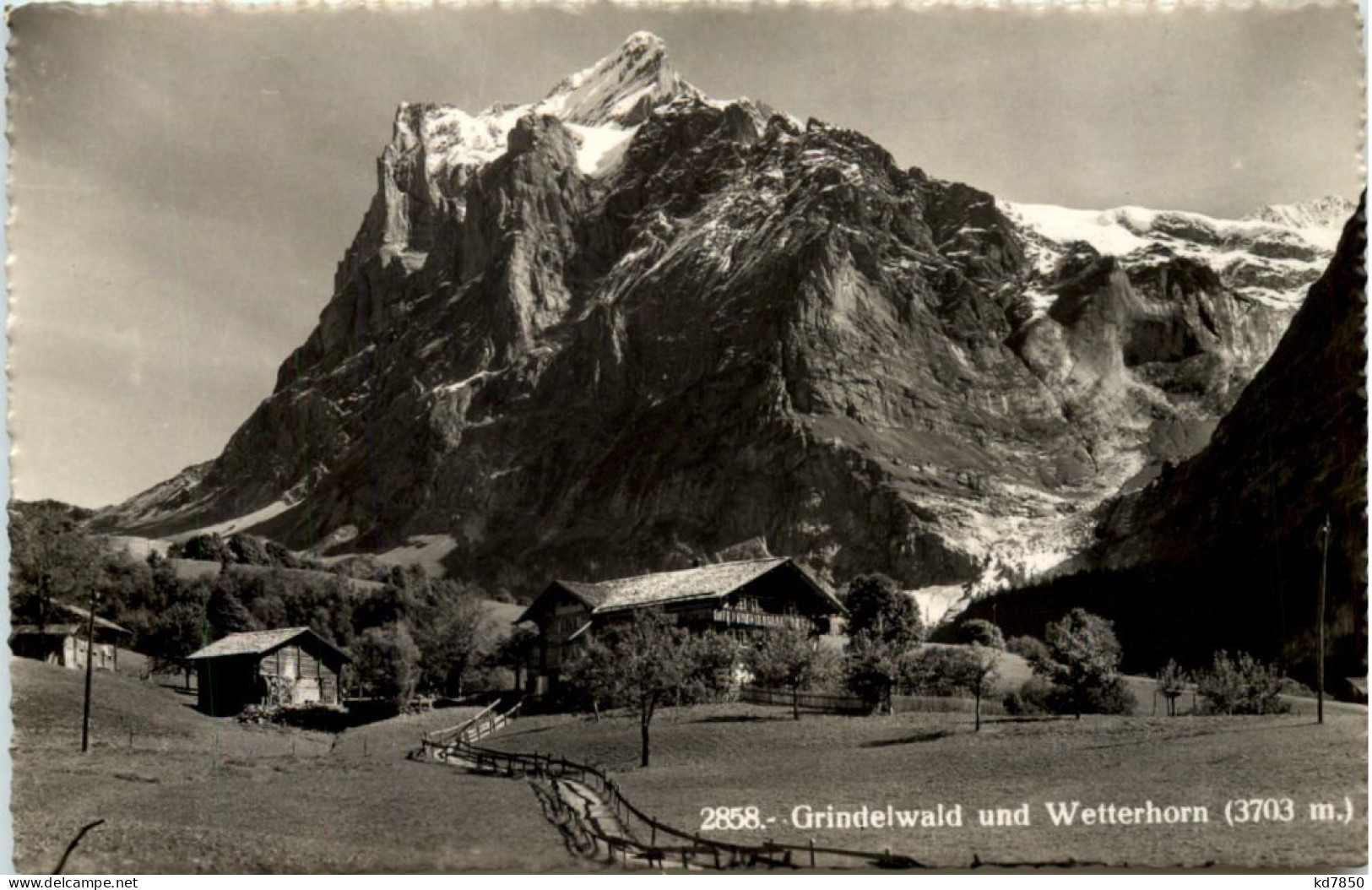 Grindelwald, Und Wetterhorn - Grindelwald