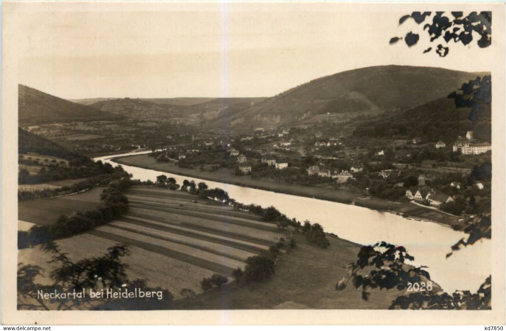 Neckartal Bei Heidelberg - Heidelberg