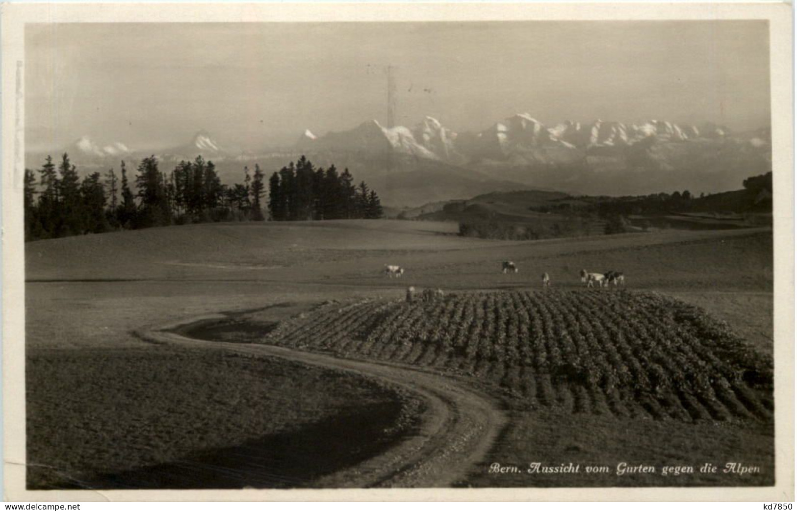 Bern, Aussicht Vom Garten Gegen Die Alpen - Autres & Non Classés