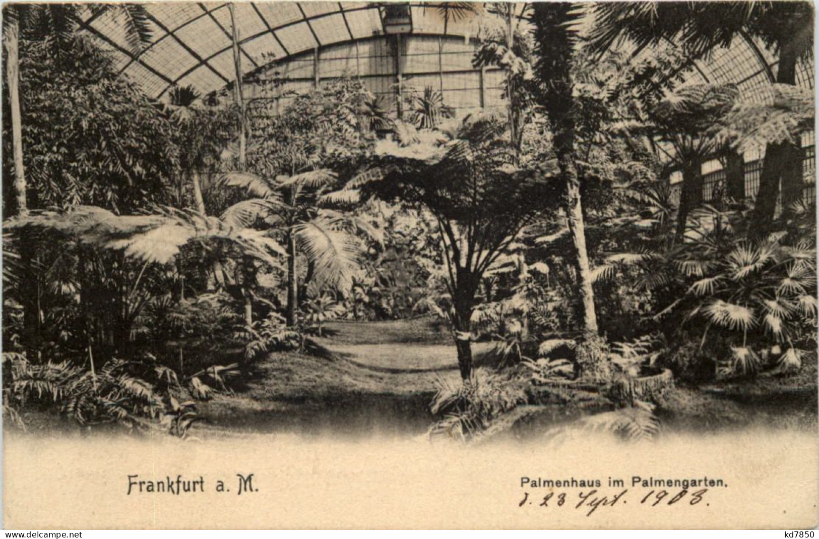 Frankfurt, Palmenhaus Im Palmengarten - Frankfurt A. Main