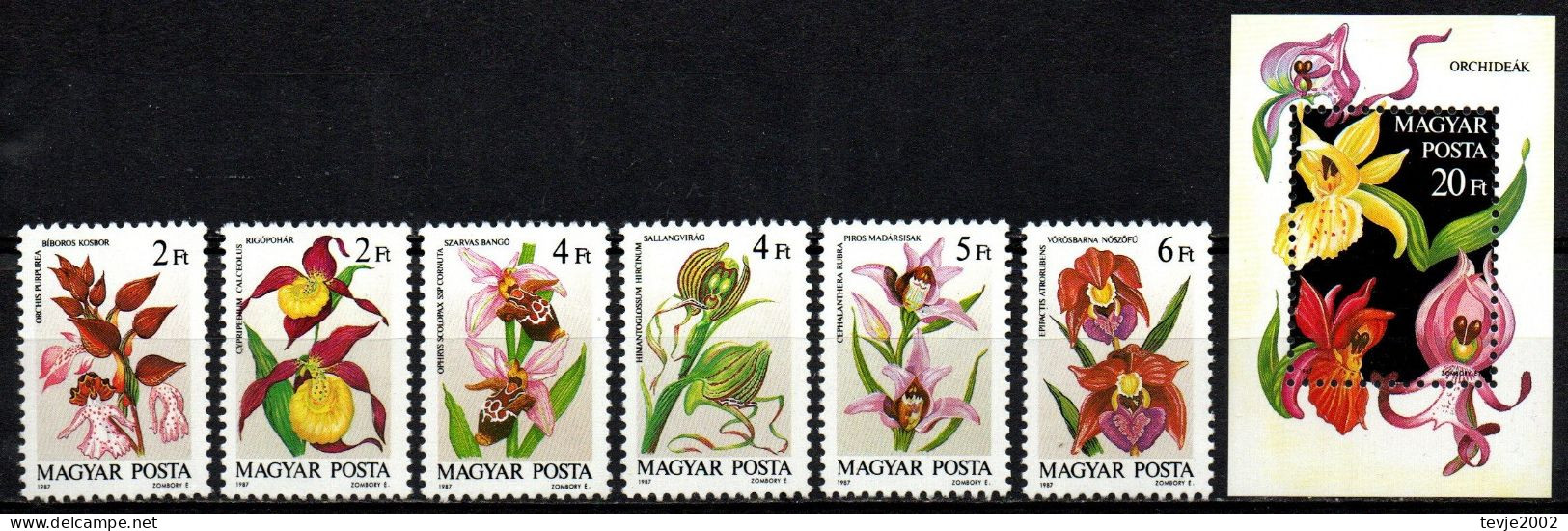 Ungarn 1987 - Mi.Nr. 3922 - 3927 A + Block 192 A - Postfrisch MNH - Blumen Flowers Orchideen Orchids - Orchideen