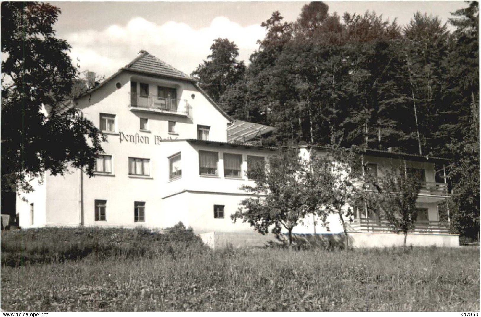 Weiten-Gesäss - Pension Waldfriede - Michelstadt Im Odenwald - Michelstadt