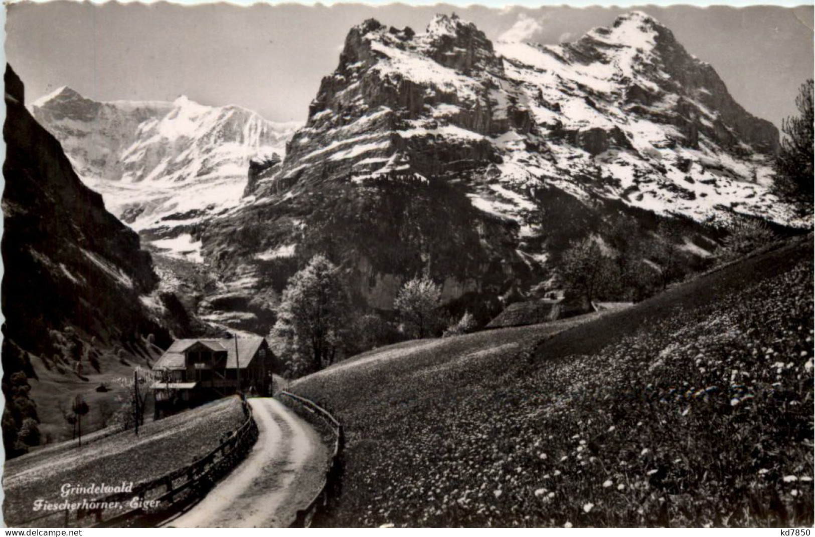 Grindelwald, Fiescherhörner, Eiger - Grindelwald