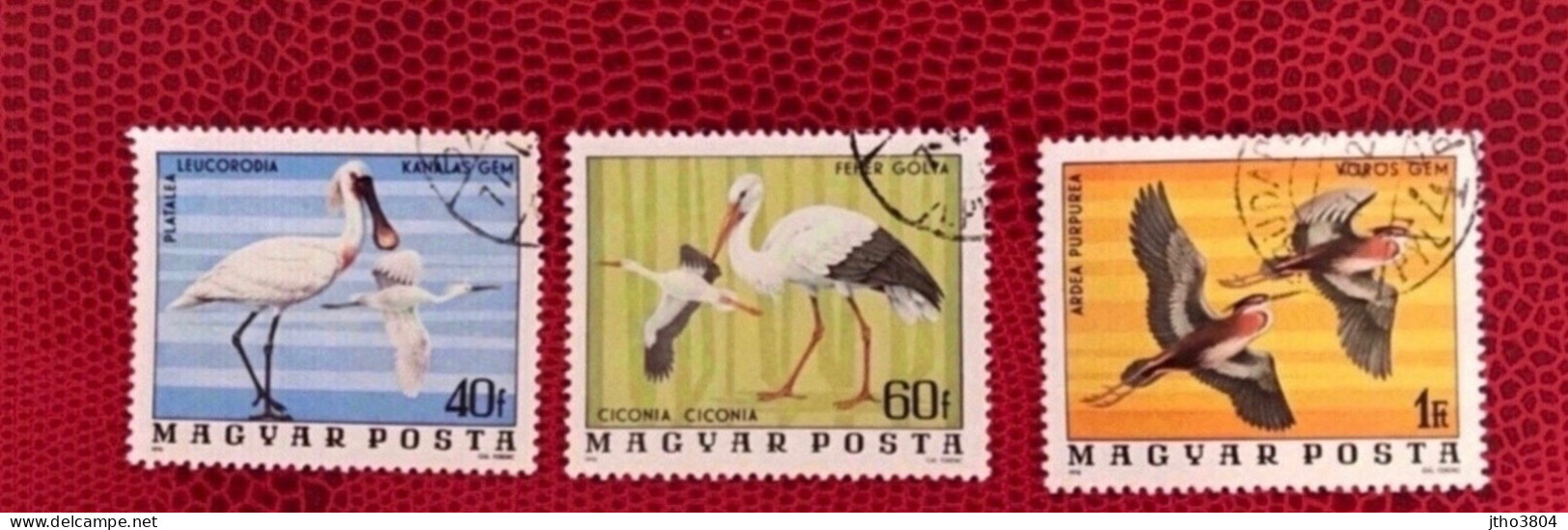 HONGRIE 1977 3v Oblitéré YT 2536 / 2538 Ucello Oiseau Bird Pájaro Vogel HUNGARY UNGARN MAGYAR UNGHERIA - Sonstige & Ohne Zuordnung