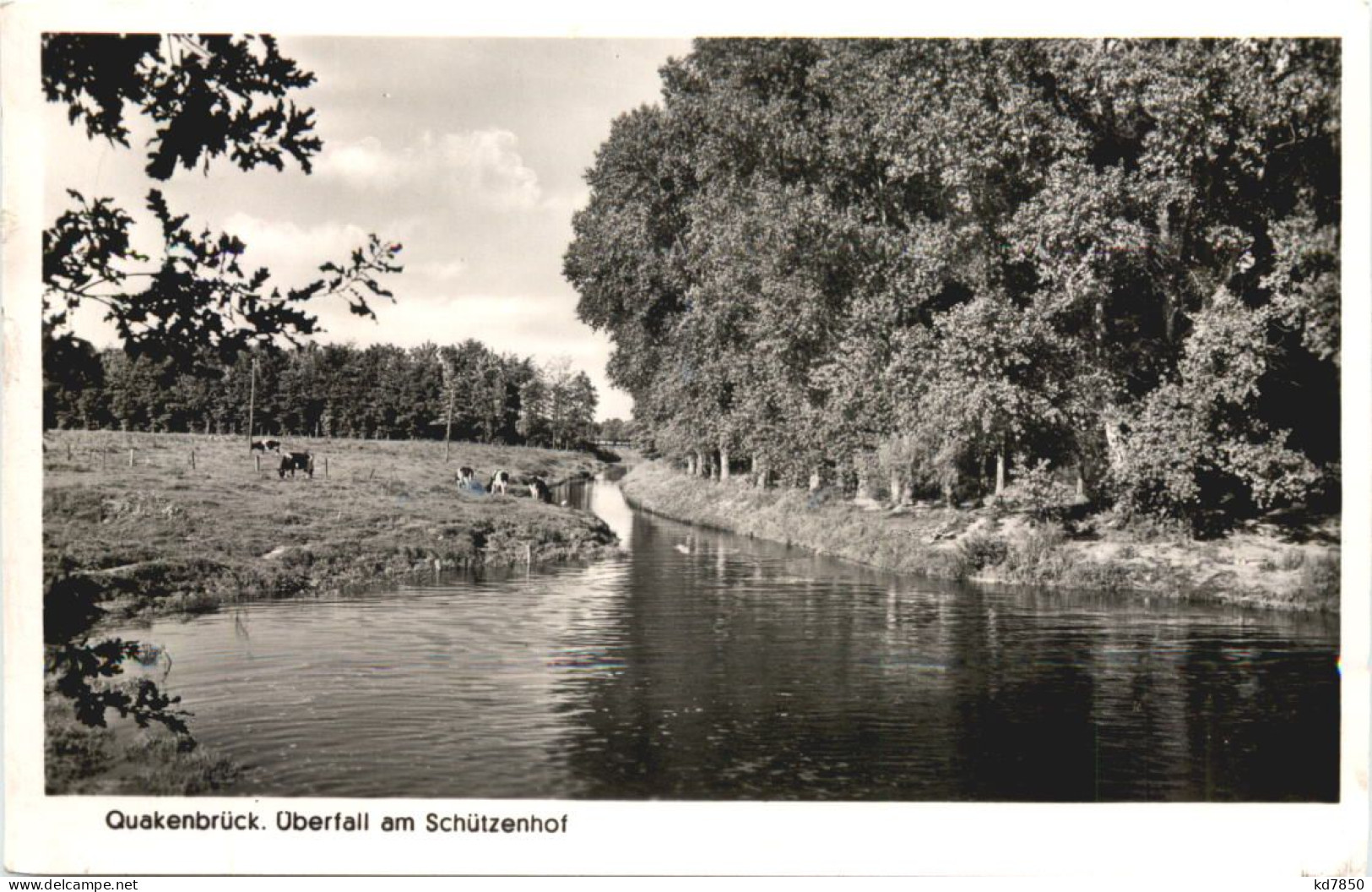 Quakenbrück - Überfall Am Schützenhof - Osnabrück