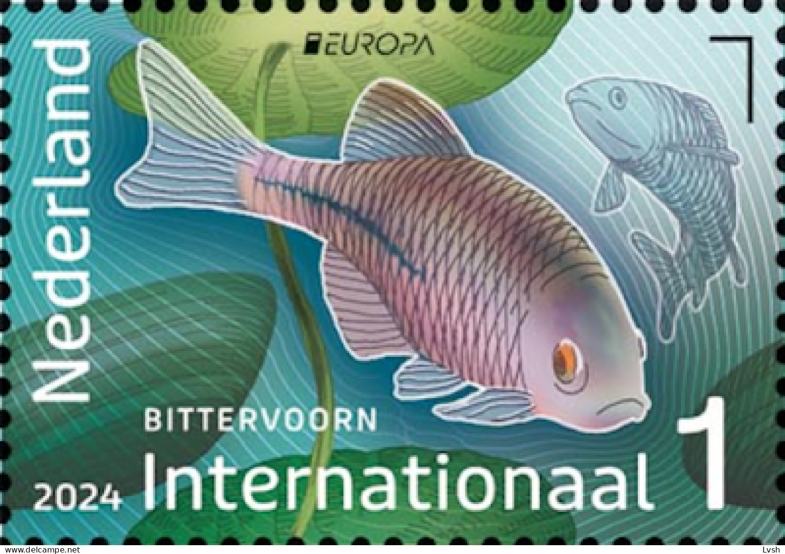 Netherlands.2024.Europa CEPT.Underwater Fauna And Flora.1 V. ** . - 2024