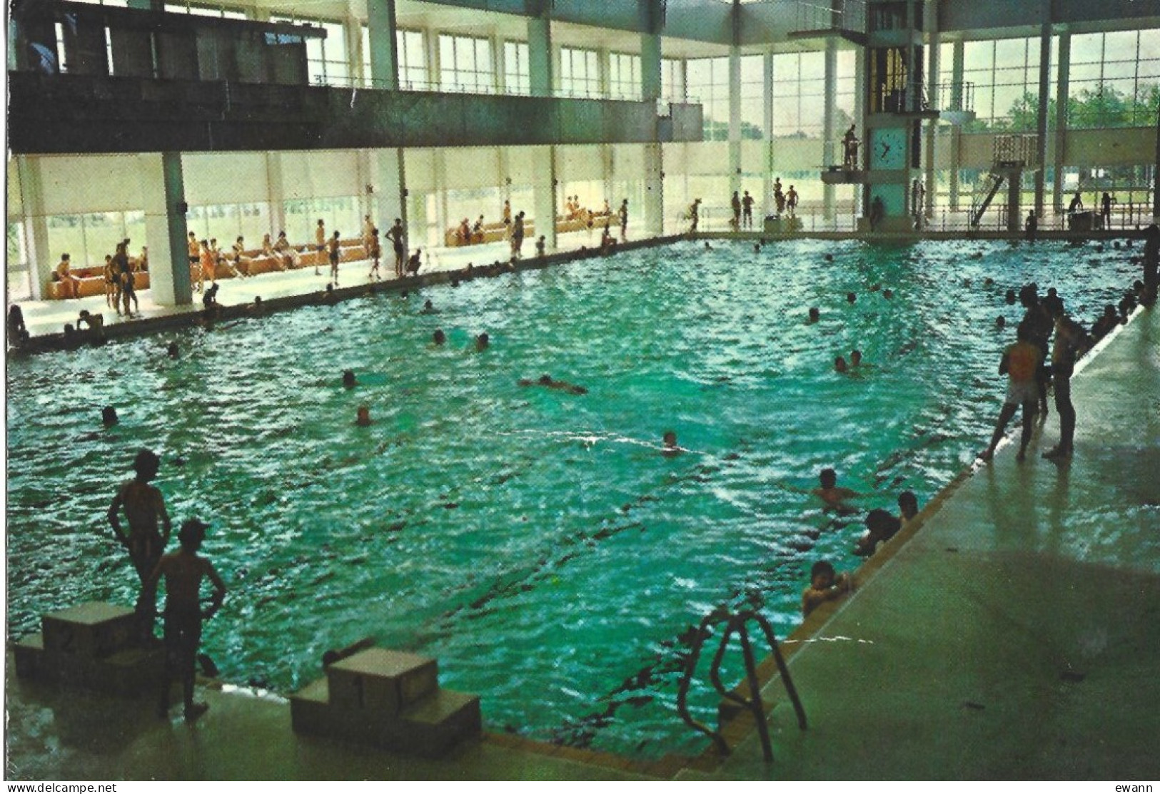 Carte Postale - Rennes - Piscine De Bréquigny - Le Grand Bassin - Rennes