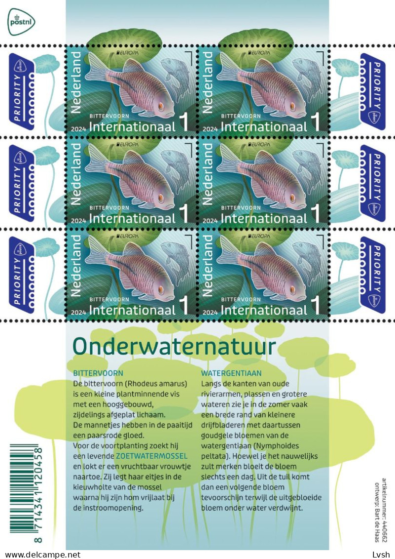 Netherlands.2024.Europa CEPT.Underwater Fauna And Flora.m/s ** . - 2024