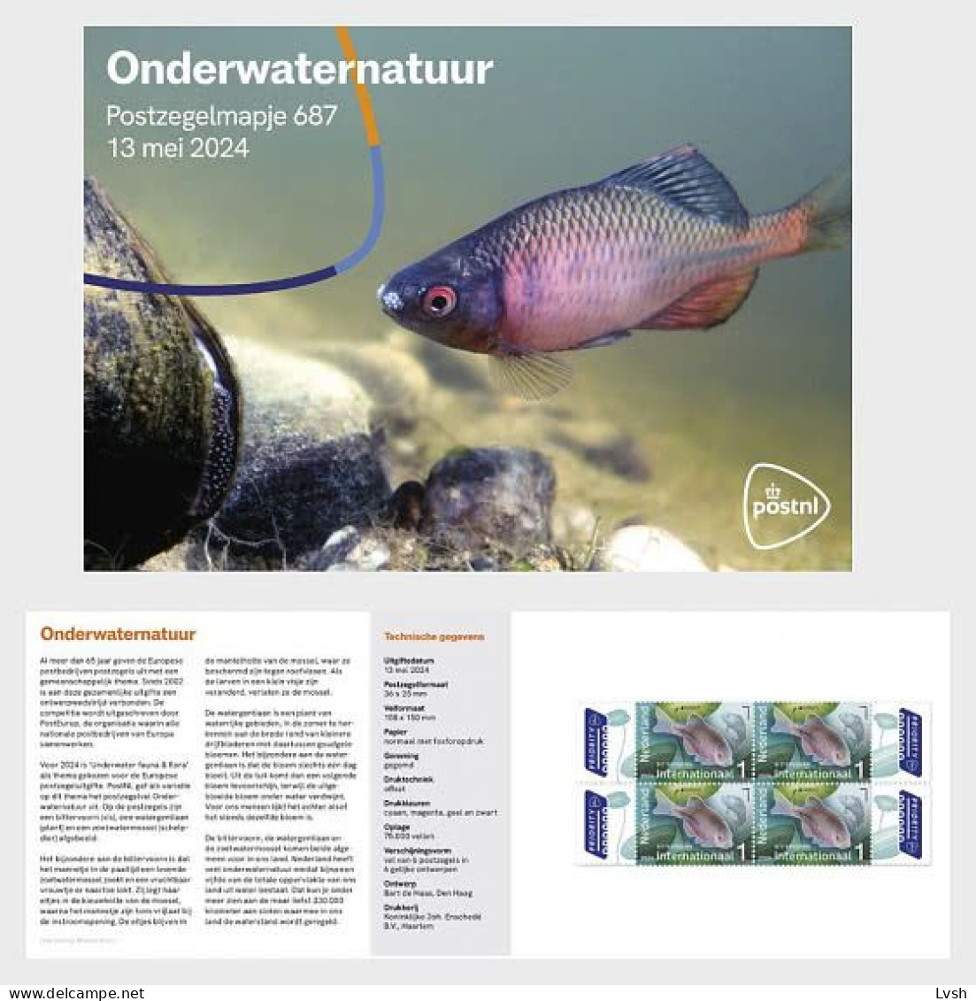 Netherlands.2024.Europa CEPT.Underwater Fauna And Flora.Booklet ** . - 2024