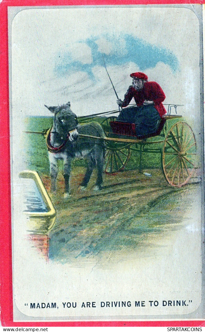 ESEL Tiere Vintage Antik Alt CPA Ansichtskarte Postkarte #PAA244.DE - Esel