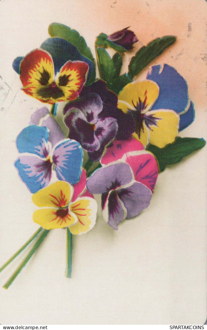 FLOWERS Vintage Ansichtskarte Postkarte CPSMPF #PKG041.DE - Flowers