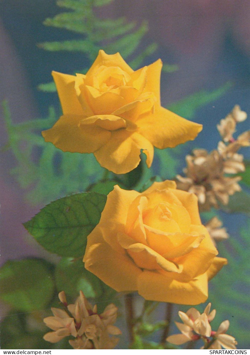 FLOWERS Vintage Ansichtskarte Postkarte CPSM #PBZ563.DE - Blumen