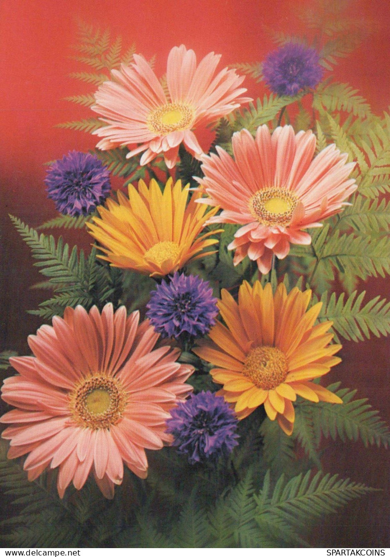 FLOWERS Vintage Ansichtskarte Postkarte CPSM #PBZ383.DE - Blumen