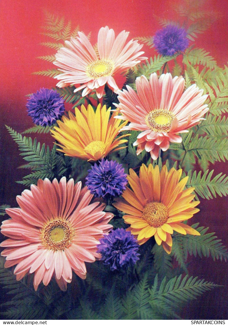 FLOWERS Vintage Ansichtskarte Postkarte CPSM #PBZ383.DE - Fleurs