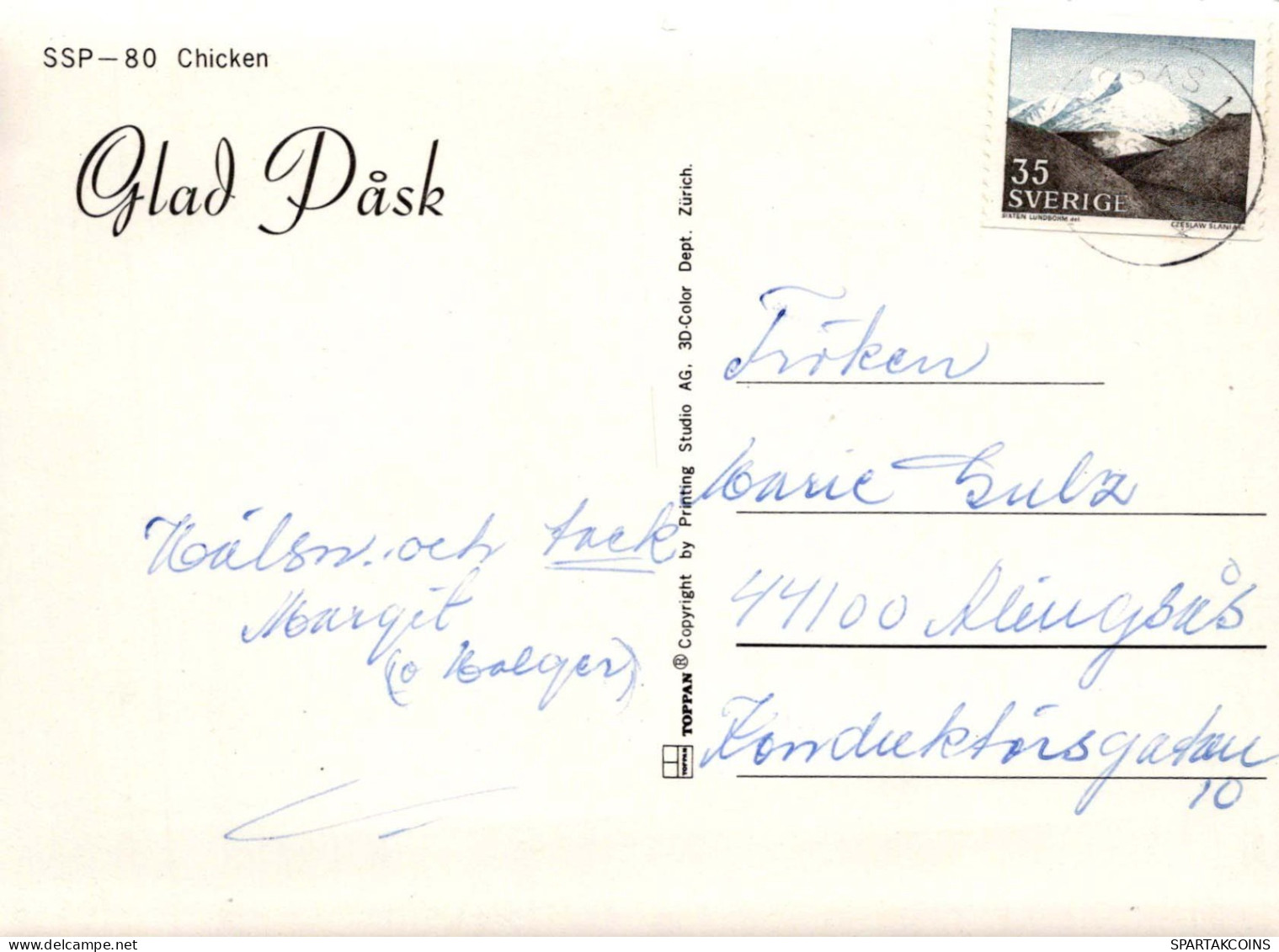 VOGEL Tier Vintage Ansichtskarte Postkarte CPSM #PBR618.DE - Vögel