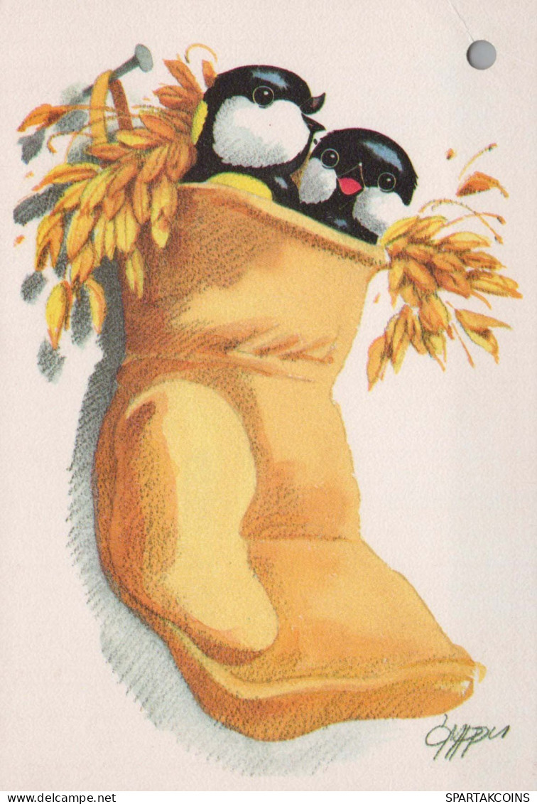 VOGEL Tier Vintage Ansichtskarte Postkarte CPSM #PBR492.DE - Vögel