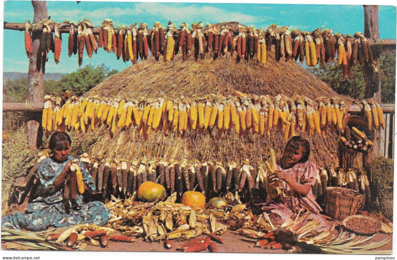 INDIENS - Apache Harvest, Fort Apache Arizona - Indiani Dell'America Del Nord