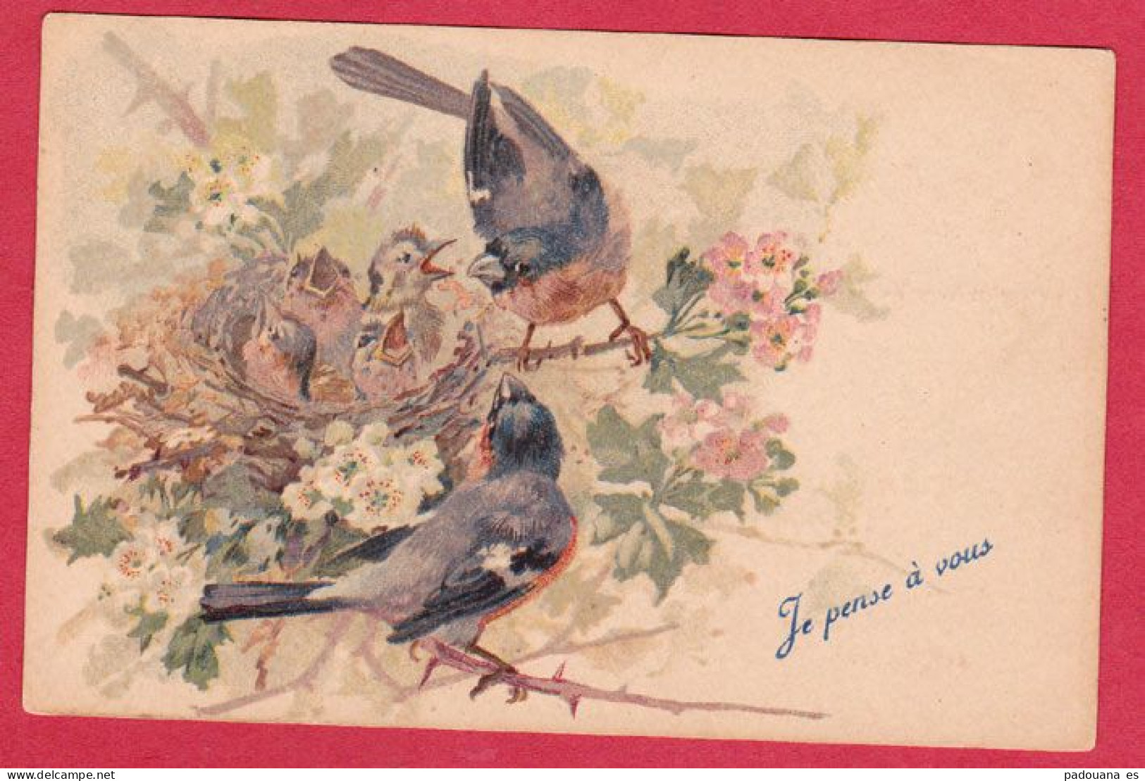 AB495 - FANTAISIES BIRDS OISEAUX VOEGEL BOUVREUILS COUPLE NID OISILLONS - Uccelli