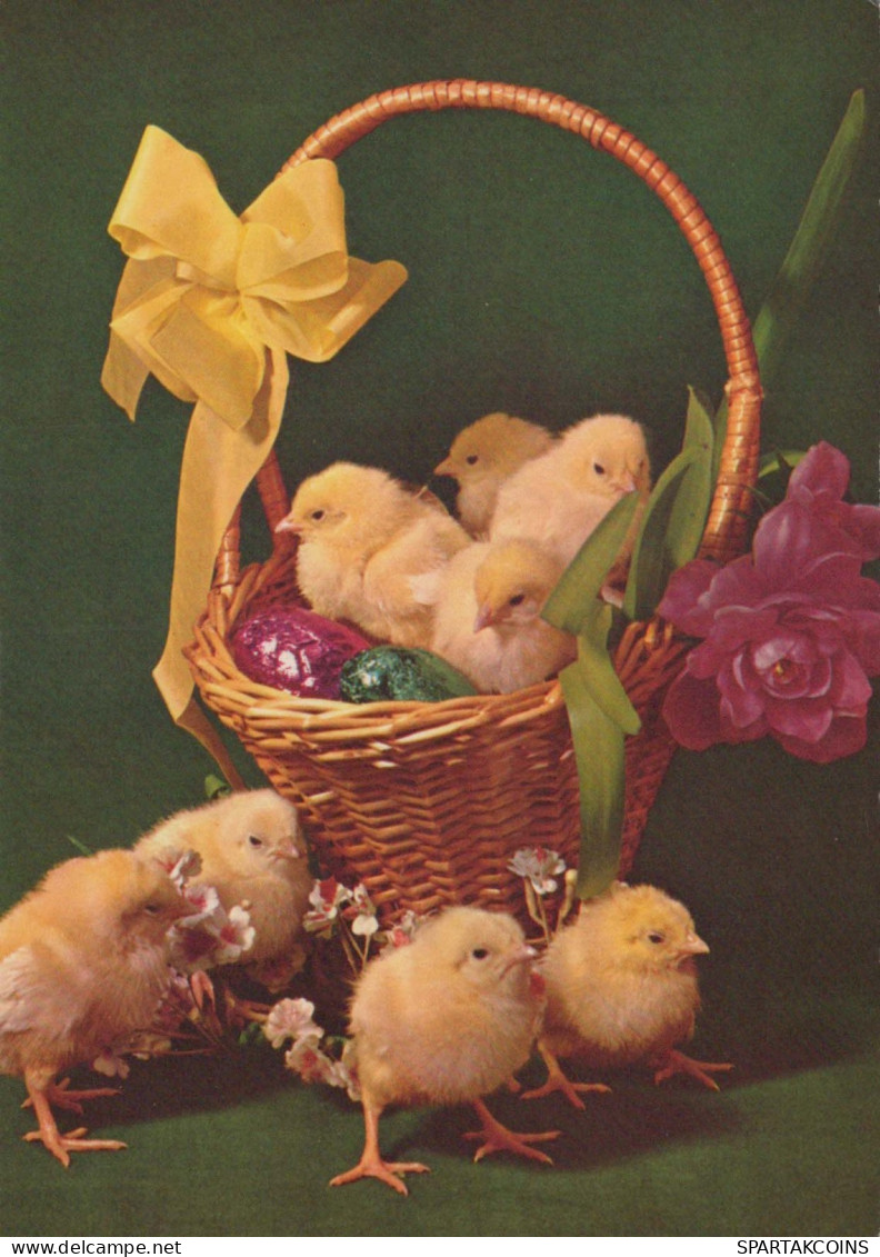 OSTERN HUHN EI Vintage Ansichtskarte Postkarte CPSM #PBO857.DE - Pâques