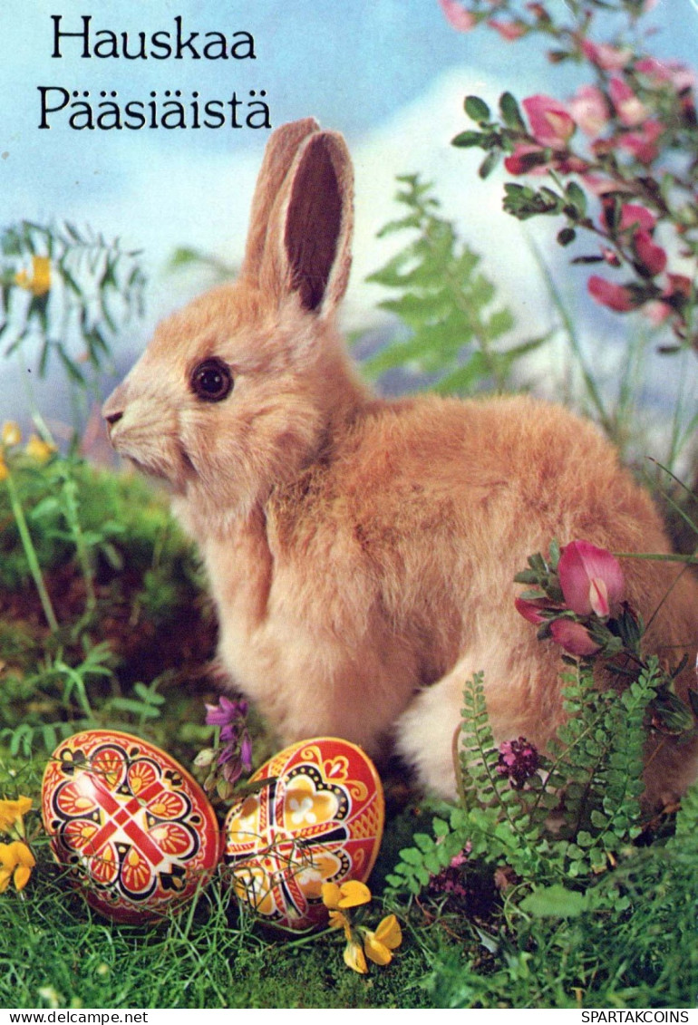 OSTERN KANINCHEN Vintage Ansichtskarte Postkarte CPSM #PBO418.DE - Easter