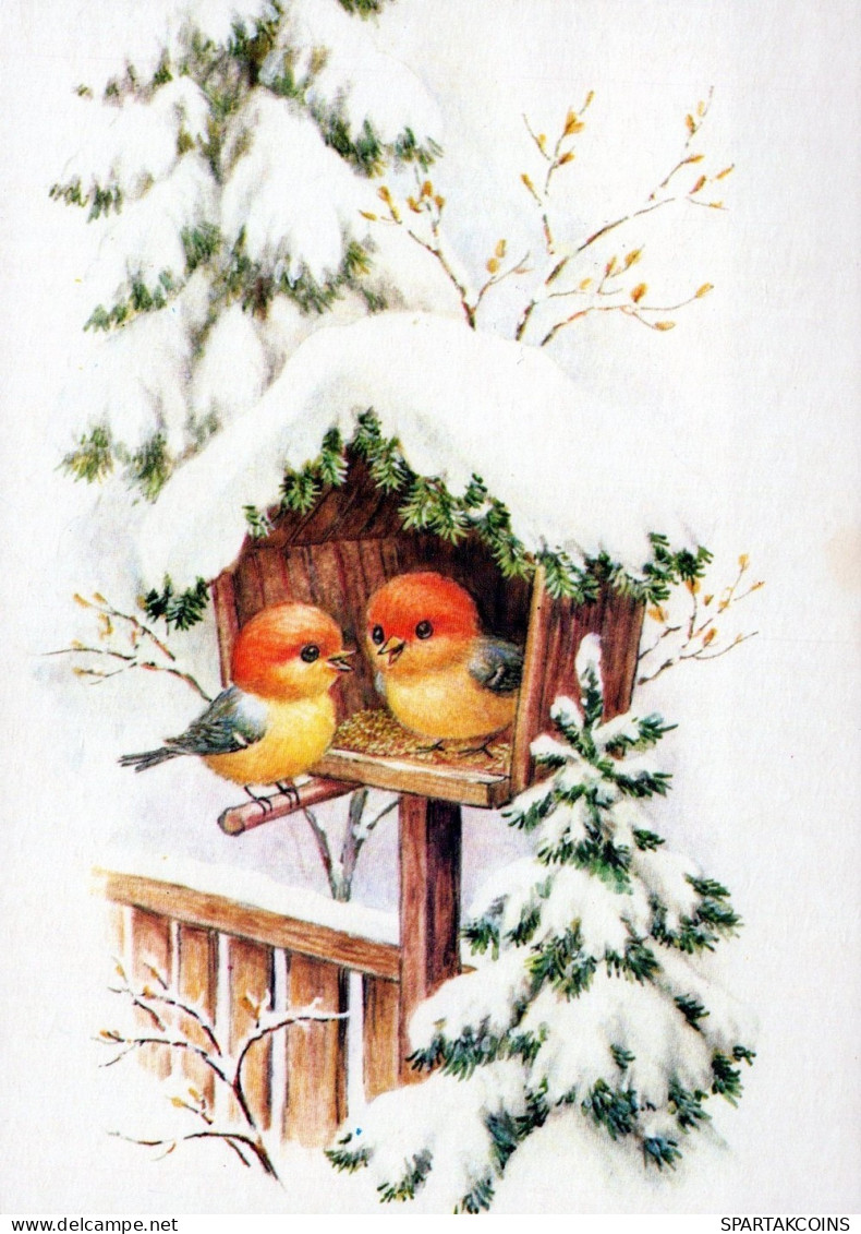 VOGEL Tier Vintage Ansichtskarte Postkarte CPSM #PAM992.DE - Vögel