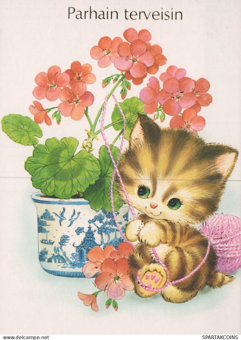 KATZE MIEZEKATZE Tier Vintage Ansichtskarte Postkarte CPSM Unposted #PAM237.DE - Chats
