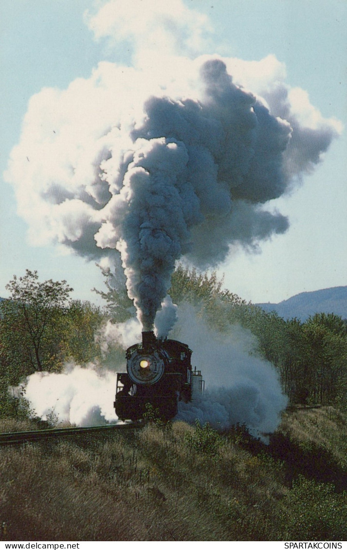 ZUG Schienenverkehr Eisenbahnen Vintage Ansichtskarte Postkarte CPSMF #PAA397.DE - Trains