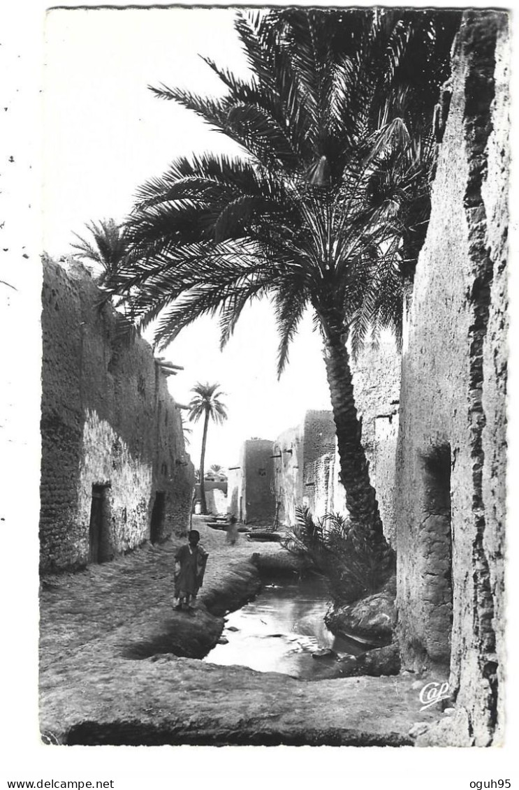 Algérie - VIEUX BISKRA - Lot De 2 Cartes - N°1 -  (Voir Paragraphe Description) - Biskra