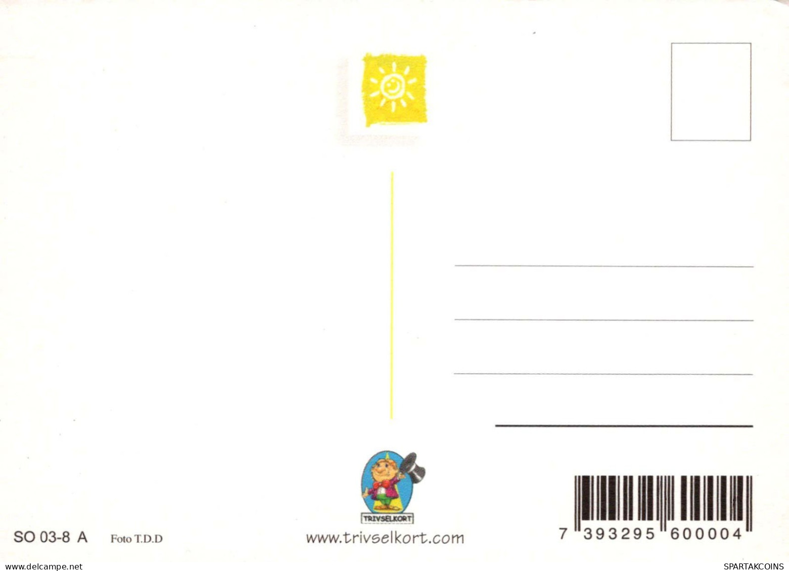 FLORES Vintage Tarjeta Postal CPSM #PBZ261.ES - Blumen