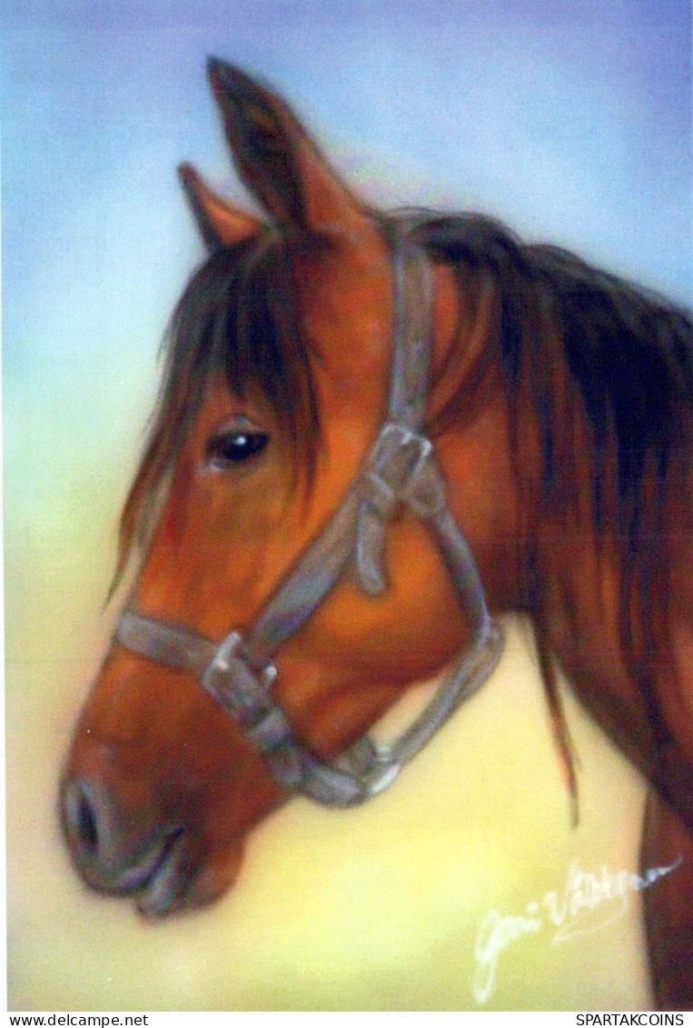 CABALLO Animales Vintage Tarjeta Postal CPSM #PBR956.ES - Horses